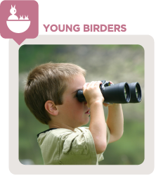 FAQ YOUNG BIRDERS